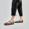 SF2631S312.60E.38