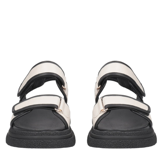 SS2555S551.77I.38